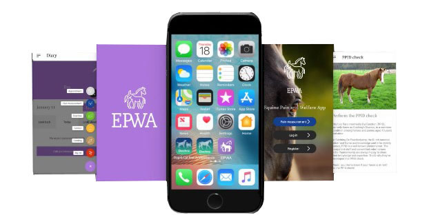 Introduction to the Equine Pain and Welfare App (EPWA)